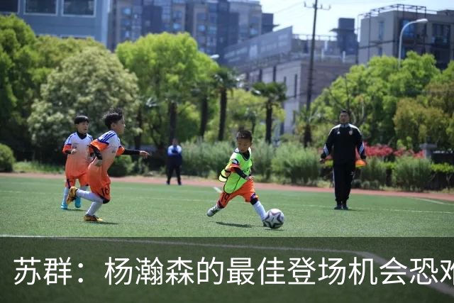 苏群：杨瀚森的最佳登场机会恐难突破第二节末